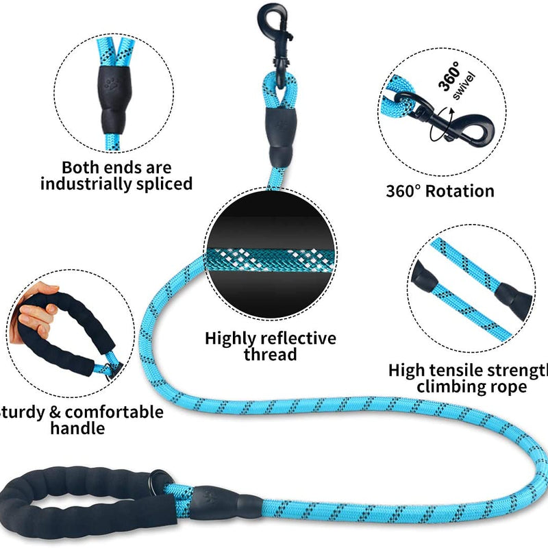 Luminous Leash Chain