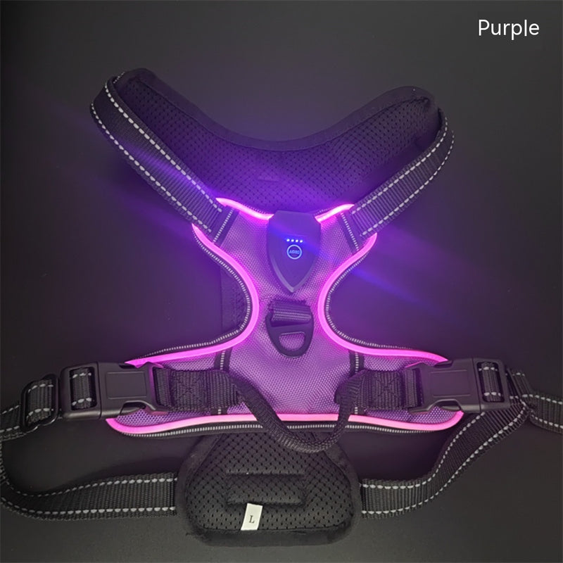 LED Luminous Night Walking Dog Vest