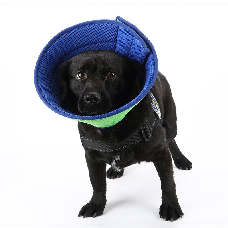 Dog Medical Recovery Collars