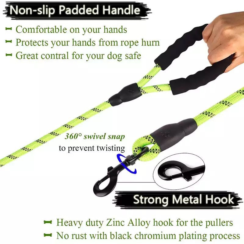 Luminous Leash Chain