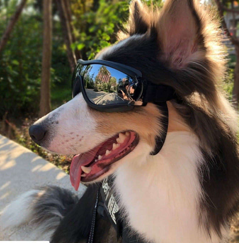 waterproof windproof sunscreen UV dog glasses