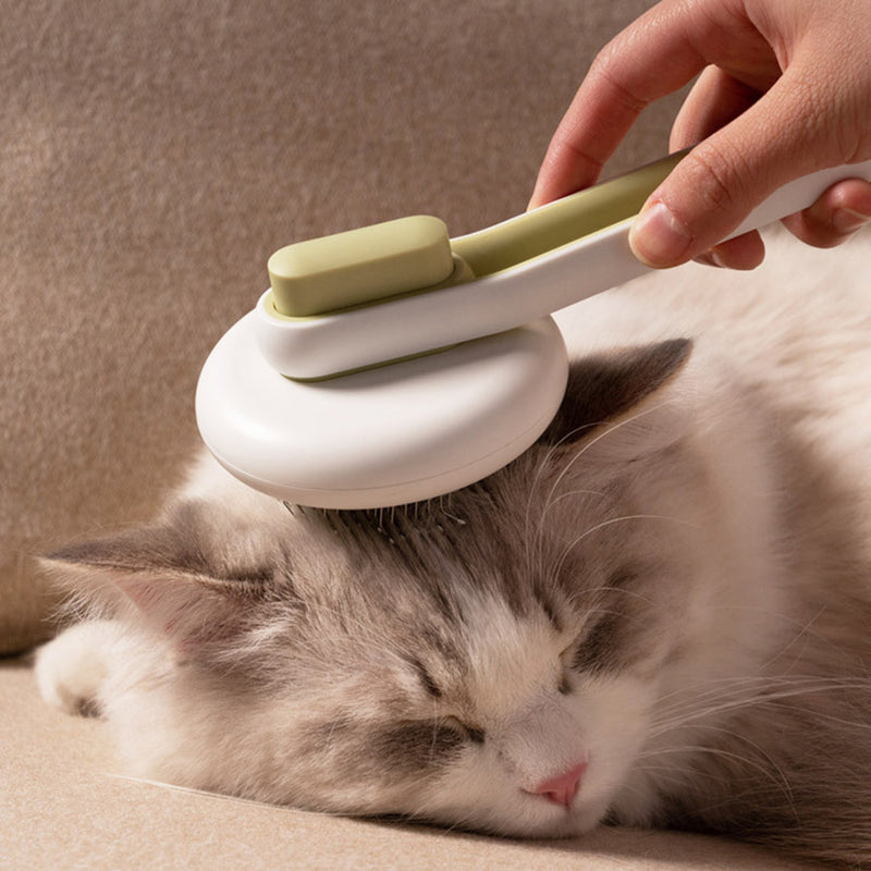 Automatic Massage Comb Round Hair Brush