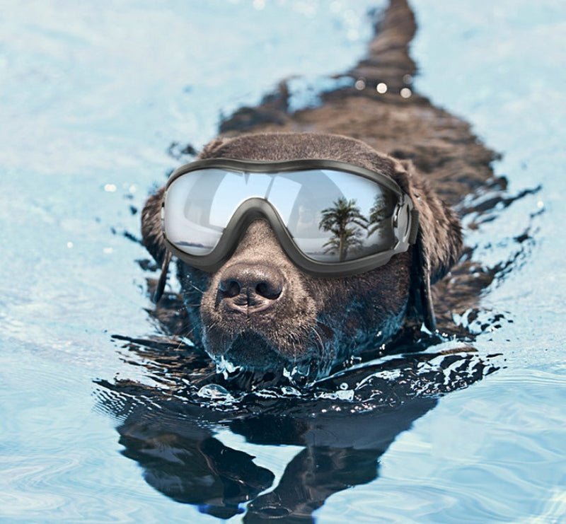 waterproof windproof sunscreen UV dog glasses