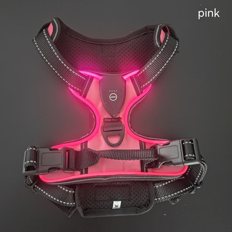 LED Luminous Night Walking Dog Vest