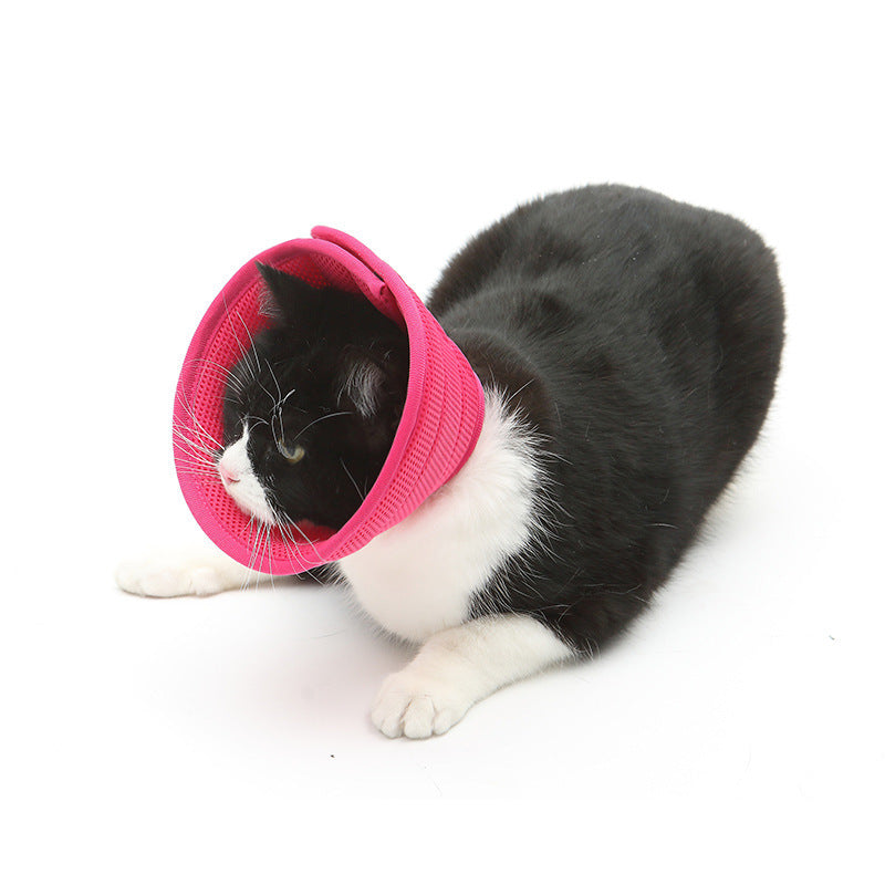 Dog Medical Recovery Collars