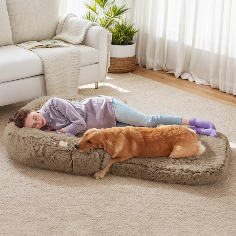 Foldable Plush Dog Bed