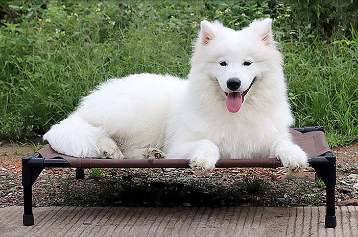 moisture-proof Pet bed dog