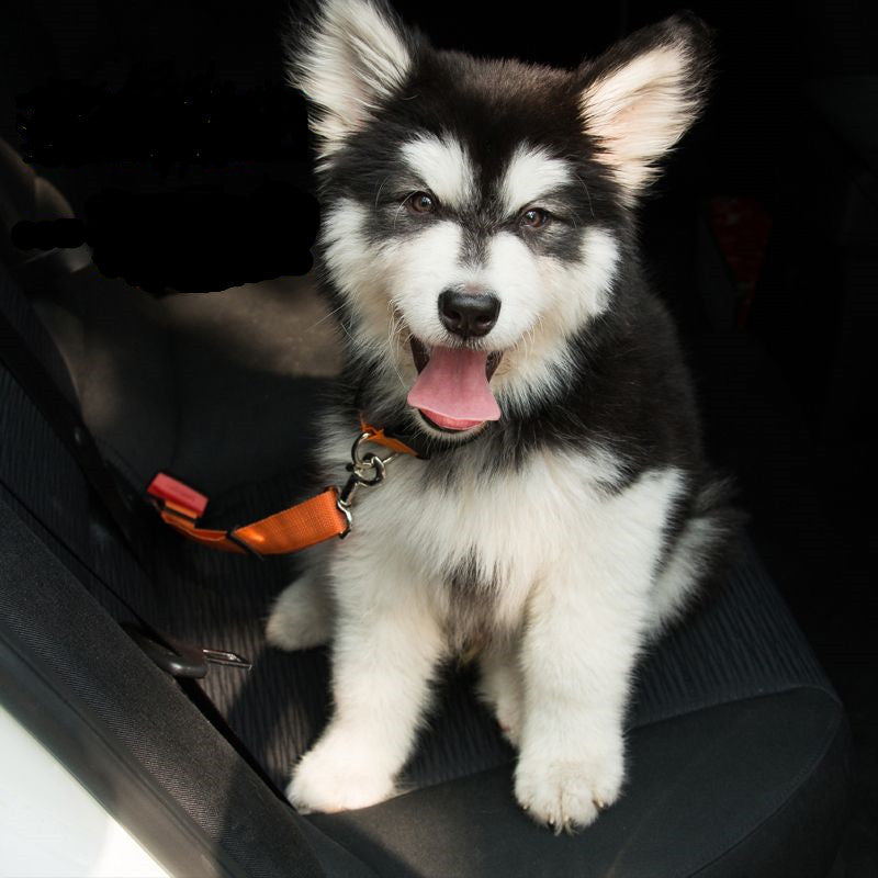 Adjustable Dog Seat Belt