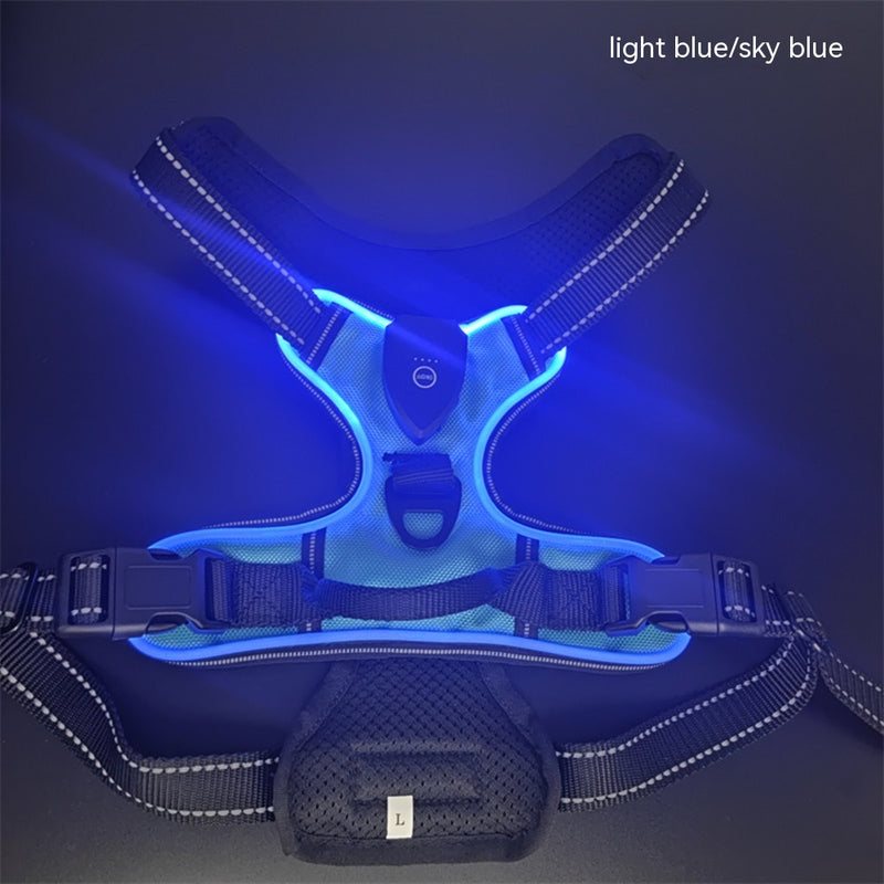 LED Luminous Night Walking Dog Vest