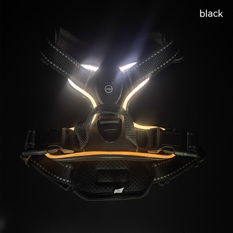 LED Luminous Night Walking Dog Vest