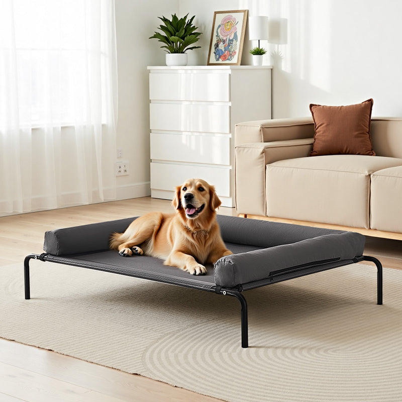 Elevated Dog Bed