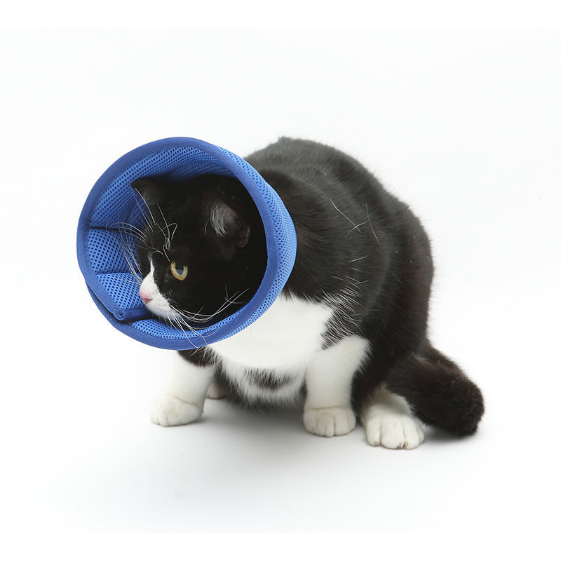 Dog Medical Recovery Collars