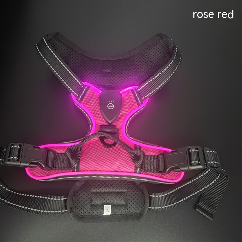 LED Luminous Night Walking Dog Vest