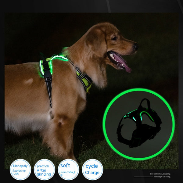 LED Luminous Night Walking Dog Vest