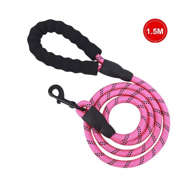 Luminous Leash Chain