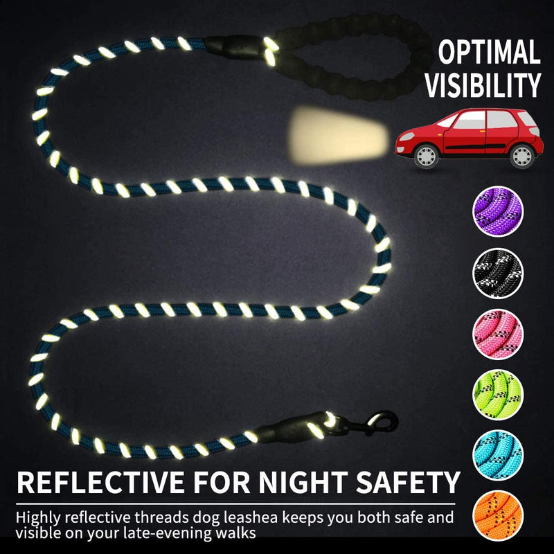 Luminous Leash Chain