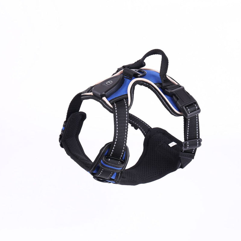 LED Luminous Night Walking Dog Vest