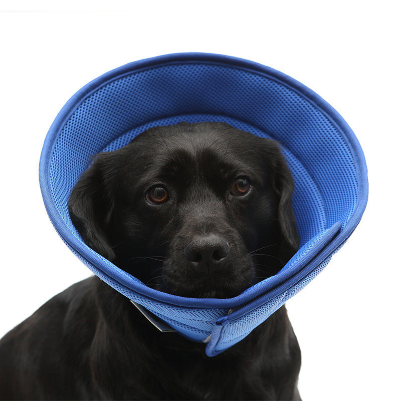 Dog Medical Recovery Collars