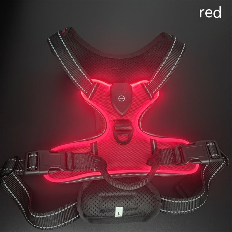 LED Luminous Night Walking Dog Vest