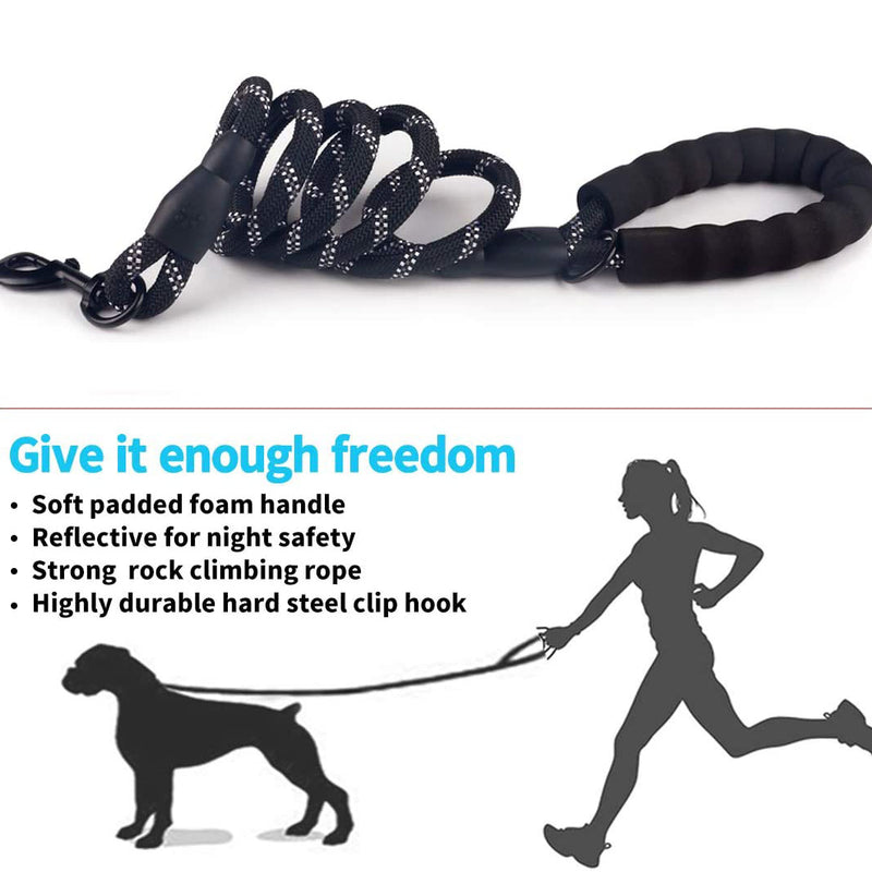 Luminous Leash Chain