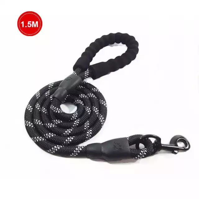 Luminous Leash Chain