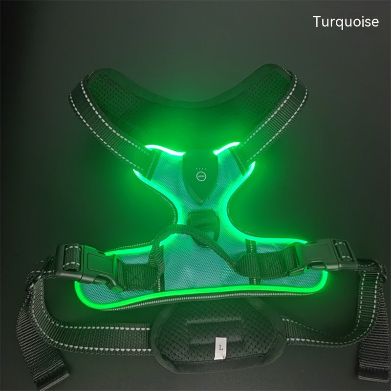 LED Luminous Night Walking Dog Vest