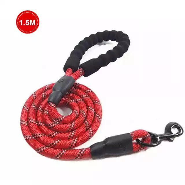 Luminous Leash Chain