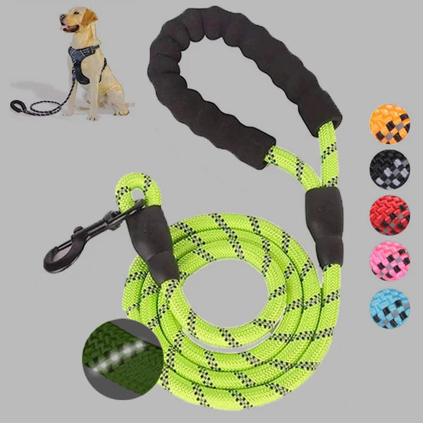 Luminous Leash Chain