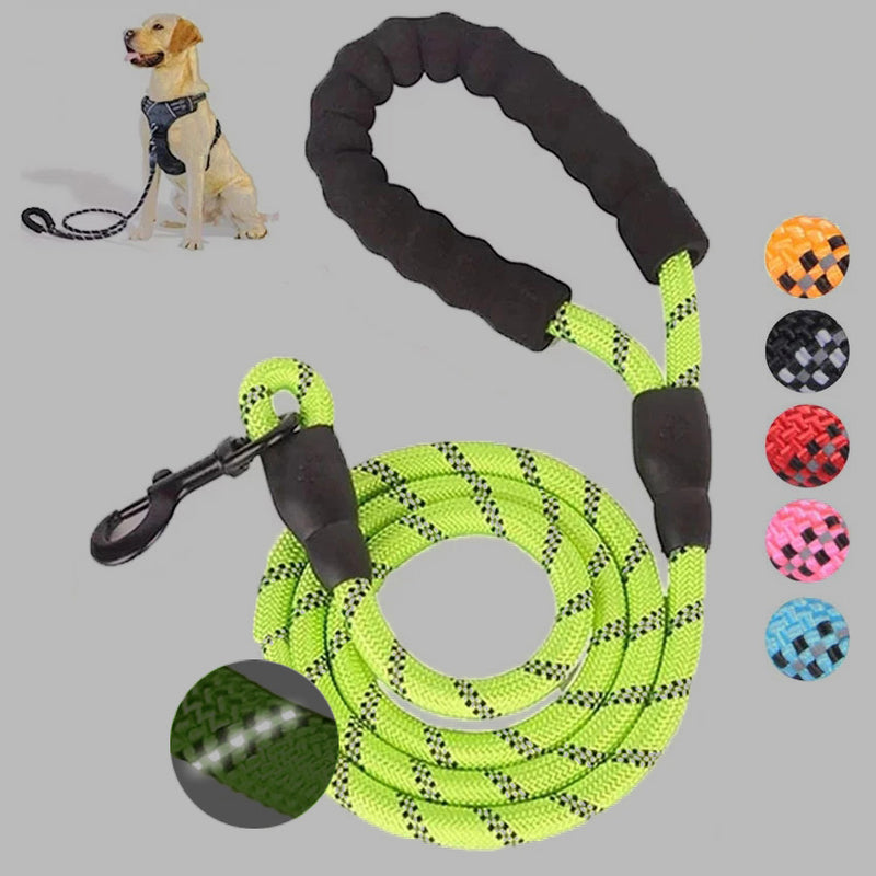 Luminous Leash Chain