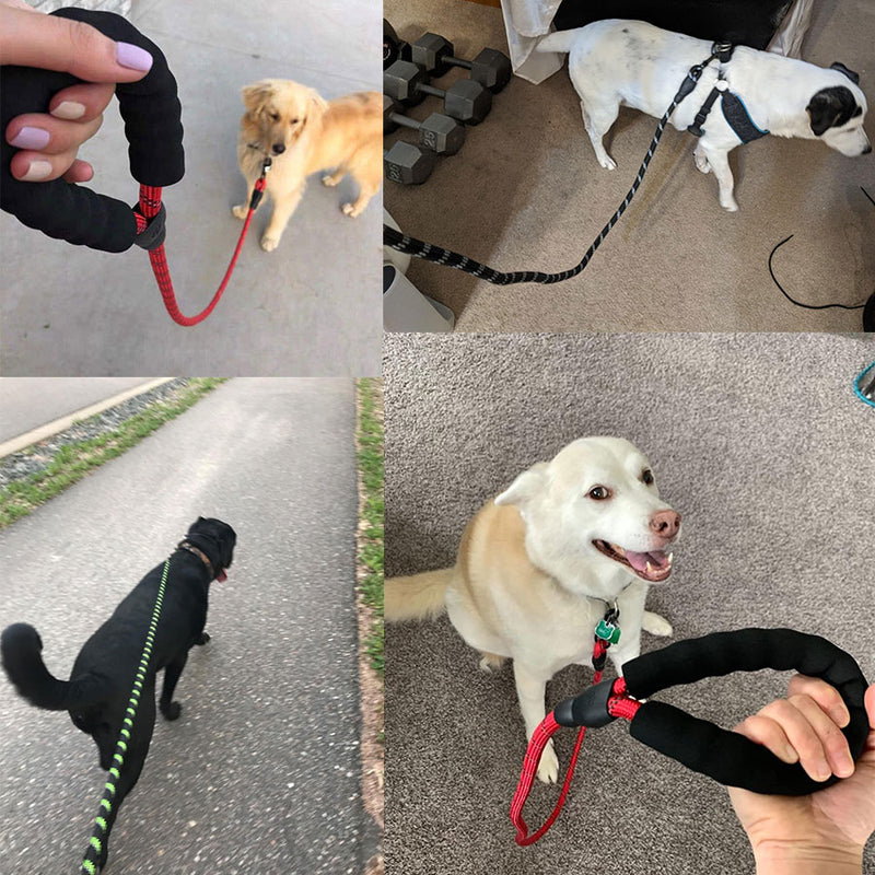 Luminous Leash Chain