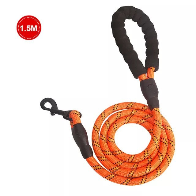 Luminous Leash Chain