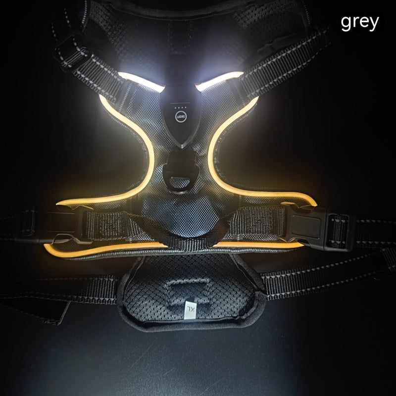 LED Luminous Night Walking Dog Vest