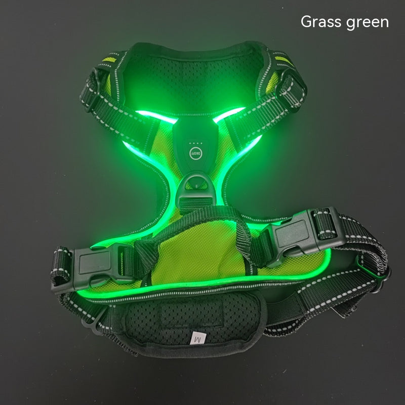 LED Luminous Night Walking Dog Vest