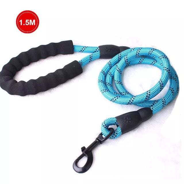 Luminous Leash Chain
