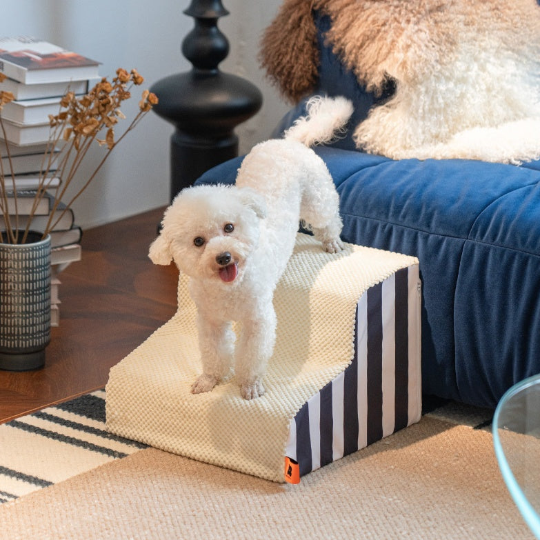 Dog Stairs