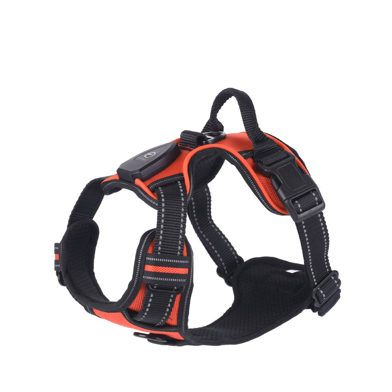 LED Luminous Night Walking Dog Vest